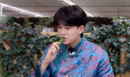 吃瓜爆料刘宇宁聚餐,吃瓜群众热议